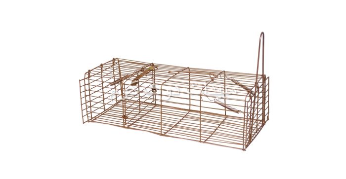 مصيدة عرس weasel trap