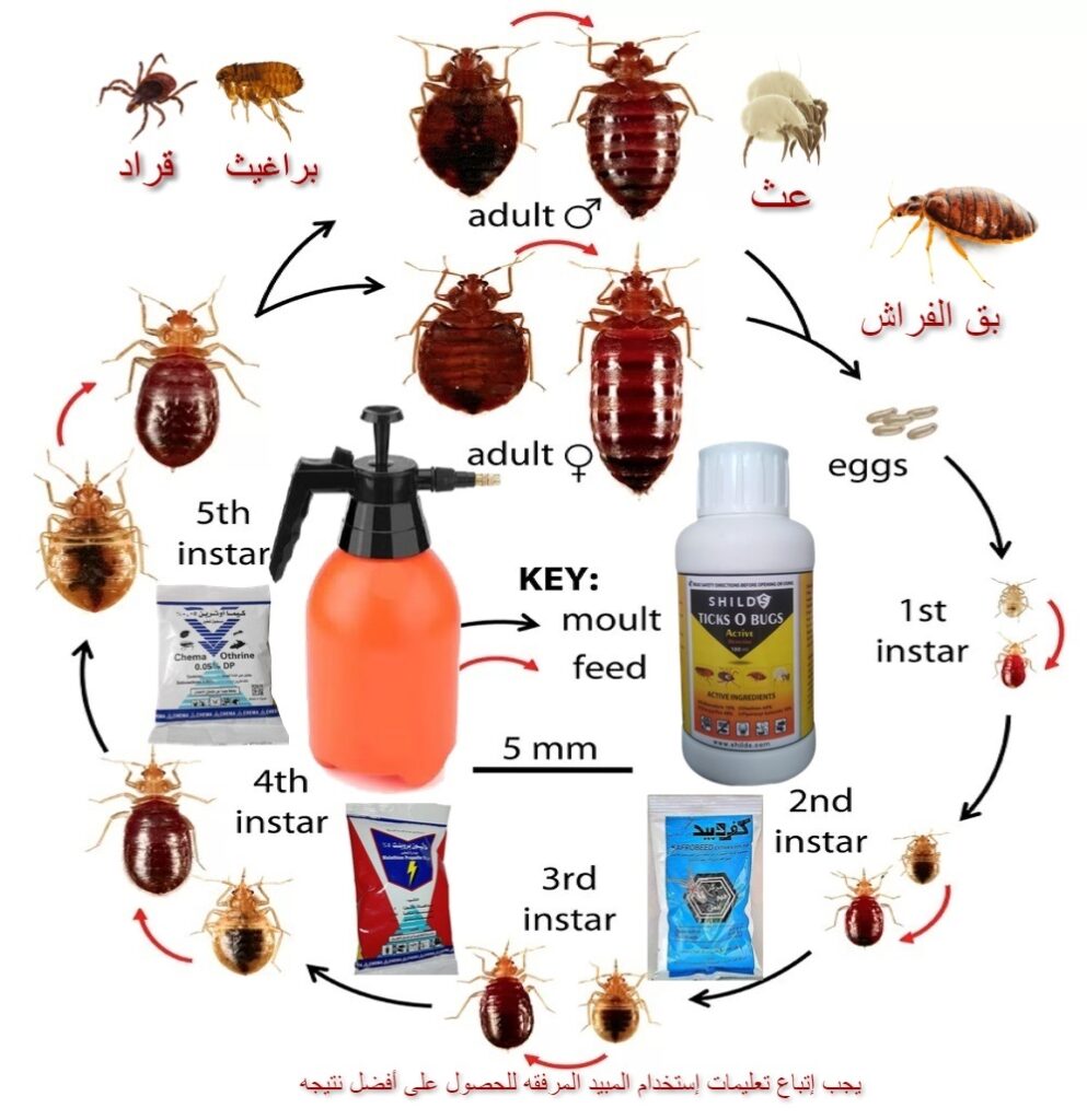مجموعة مبيدات بق الفراش