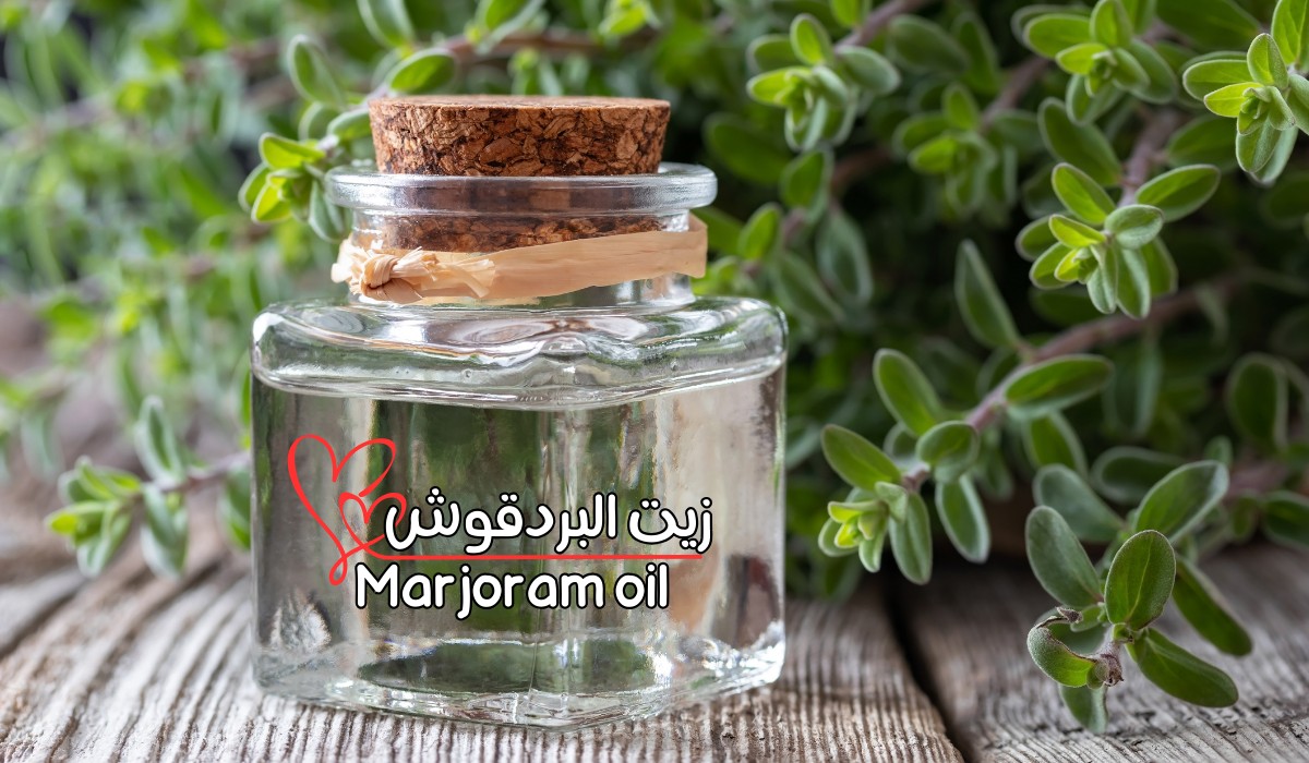 زيت البردقوش Marjoram oil