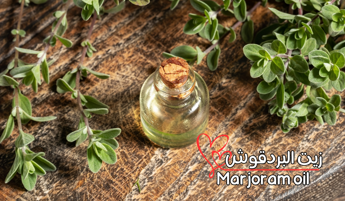 زيت البردقوش Marjoram oil