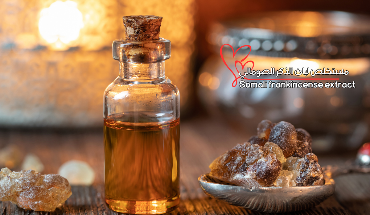 مستخلص لبان الذكر الصومالي Somali frankincense extract 