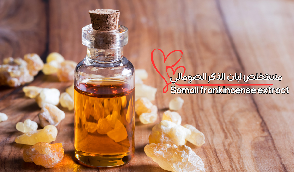 مستخلص لبان الذكر الصومالي Somali frankincense extract 