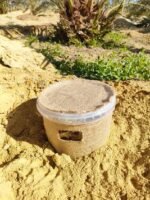 مصيدة سوسة النخيل مع الفرمون مصيدة سوس النخيل palm weevil traps