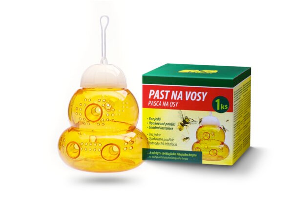 ⁦مصيدة دبابير⁩ - الصورة ⁦2⁩