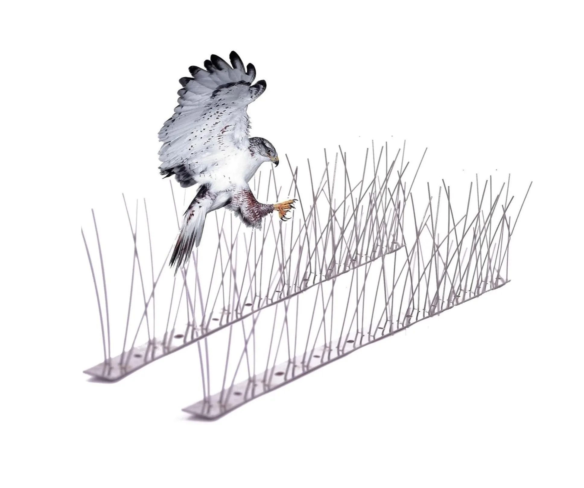 ⁦طارد الطيور | شوك مانع الطيور مانع وقوف الطيور على الأسطح Bird Spike repellents⁩ - الصورة ⁦1⁩