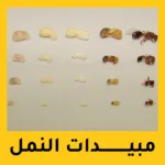 مبيدات النمل