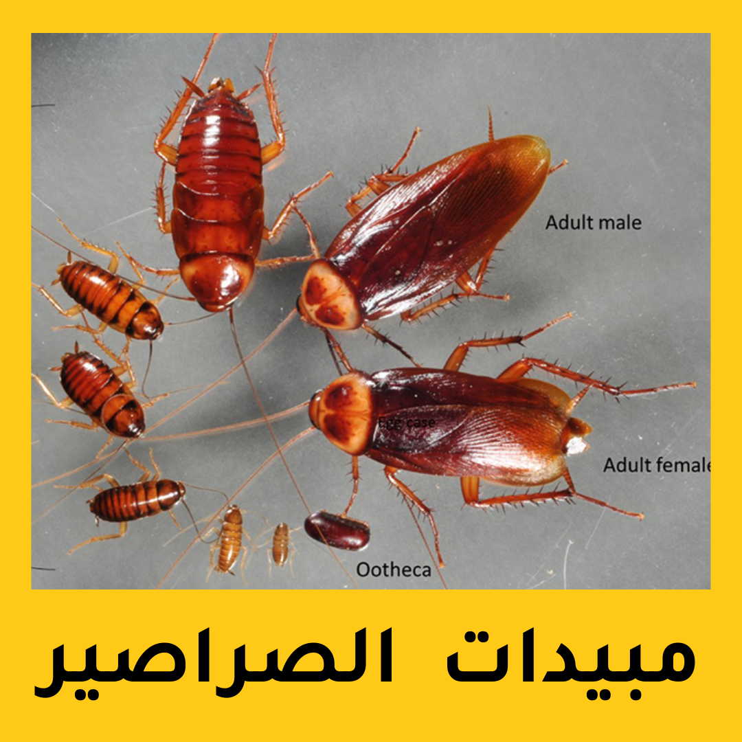 مبيدات الصراصير