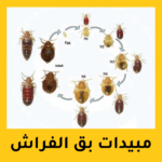 مبيدات بق الفراش