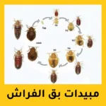 مبيدات بق الفراش