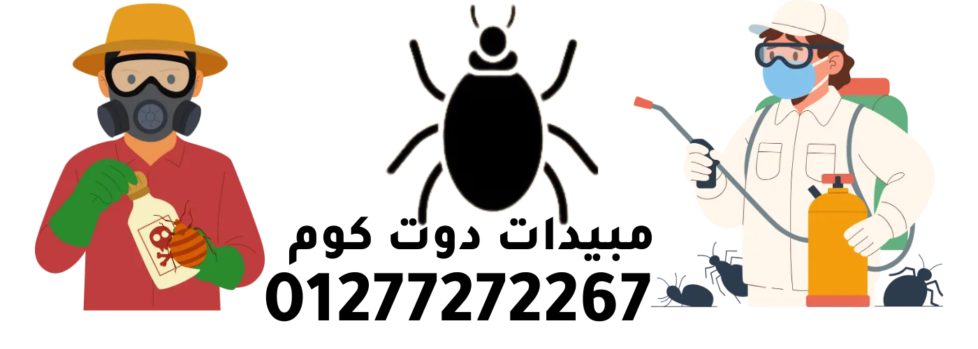 محل بيع مبيدات دوت كوم | مبيدات حشرية مبيدات رش الحشرات في القاهرة