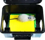 ⁦محطة طعوم قوارض - مصيدة فئران Rodents Bait Station⁩ - الصورة ⁦6⁩