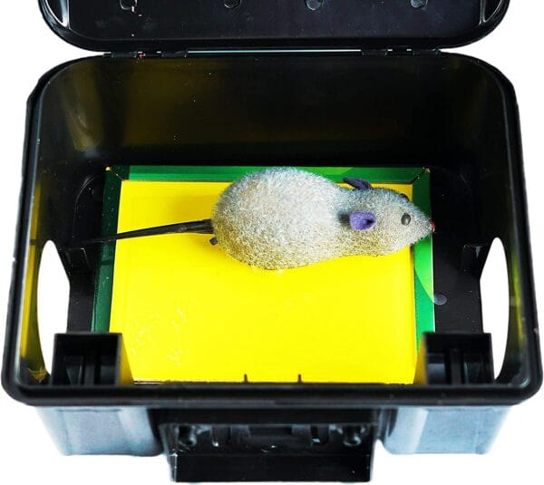 ⁦محطة طعوم قوارض - مصيدة فئران Rodents Bait Station⁩ - الصورة ⁦6⁩