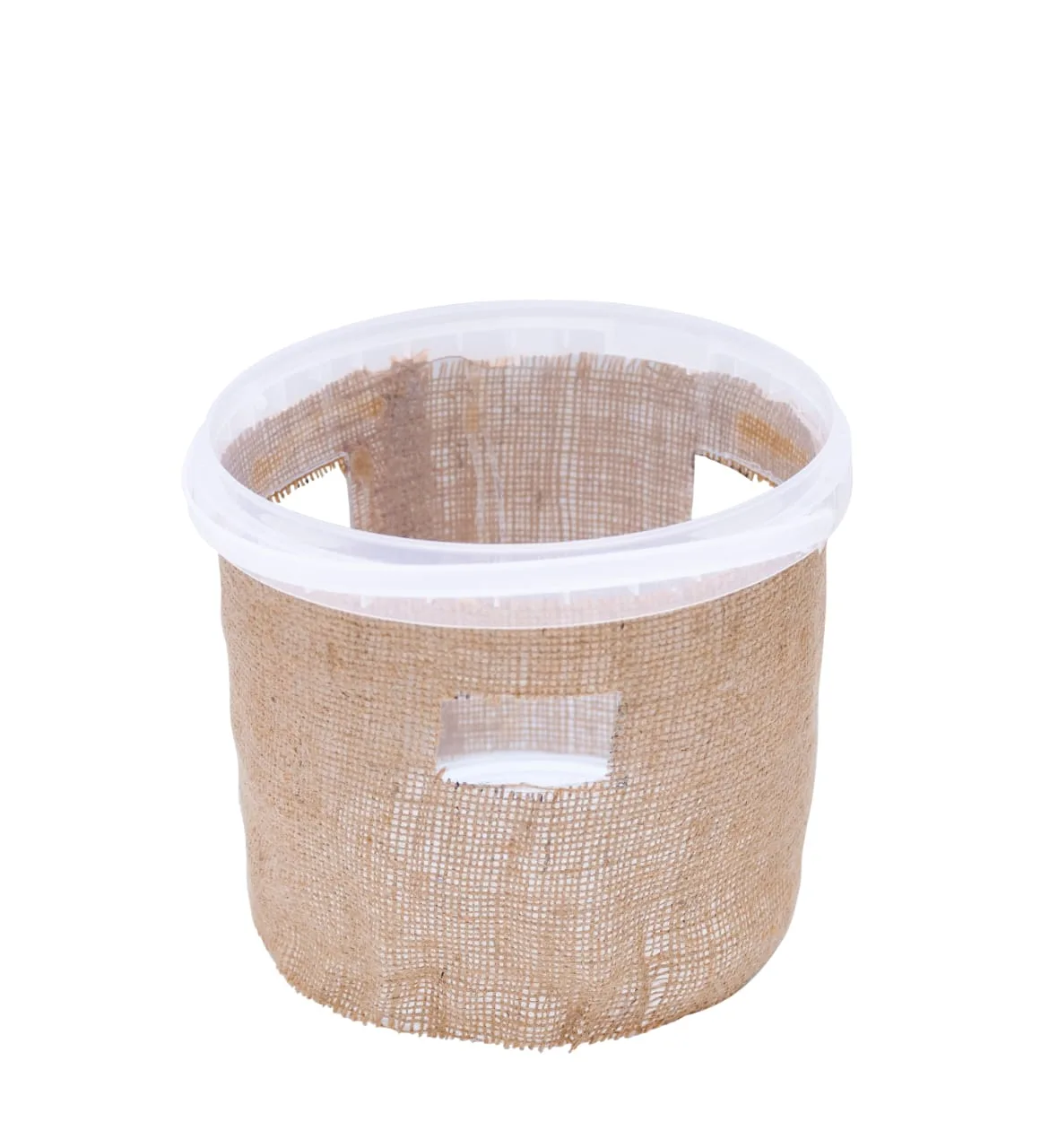 ⁦مصيدة سوسة النخيل مع الفرمون مصيدة سوس النخيل palm weevil traps⁩ - الصورة ⁦2⁩