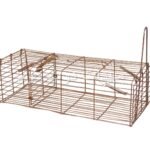 مصيدة العرس مصيدة عرس مصيدة ابن عرس - weasels trap