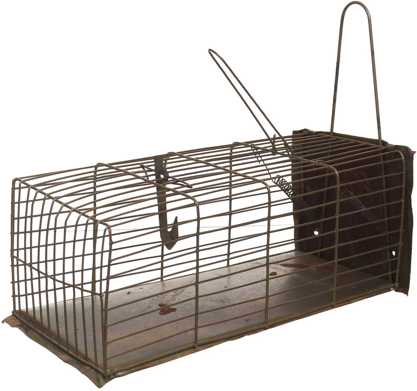 ⁦مصيده فئران سلك لون نحاسي⁩ - الصورة ⁦1⁩