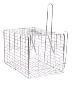 مصيدة القطط