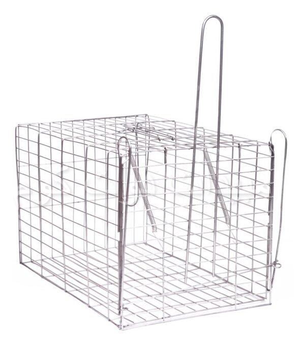 مصيدة القطط