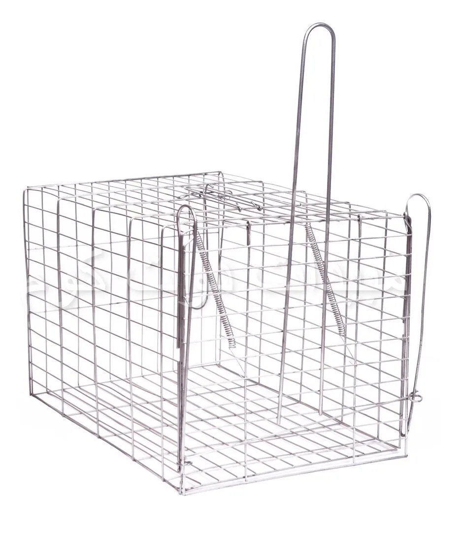 مصيدة القطط