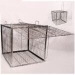 مصيدة كلاب ضاله