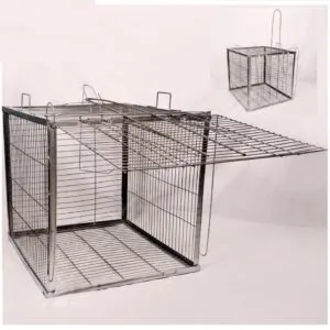 مصيدة كلاب ضاله