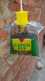 ⁦مصيدة للذباب جاهزه للاستخدام⁩ - الصورة ⁦3⁩