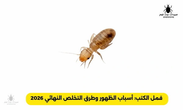 قمل الكتب أسباب الظهور وطرق التخلص النهائي 2026