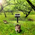 ⁦جهاز طارد الفئران والطيور والحشرات بالموجات الصوتية قطعه واحده⁩ - الصورة ⁦6⁩