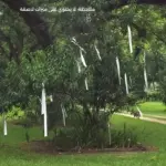 شريط طارد الطيور 100 متر ‎Bird Scare Tape Ribbon