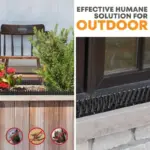 ⁦شوك طارد الطيور 4 قطع Bird Repellent⁩ - الصورة ⁦8⁩